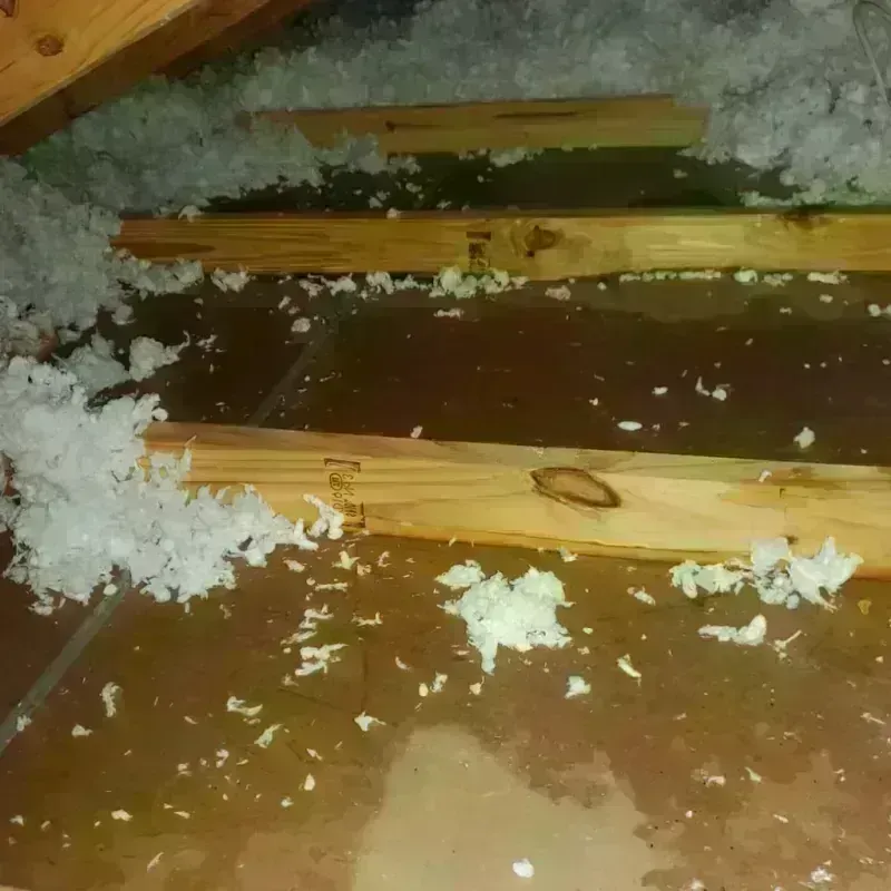 Attic Water Damage in Noe Valley, CA